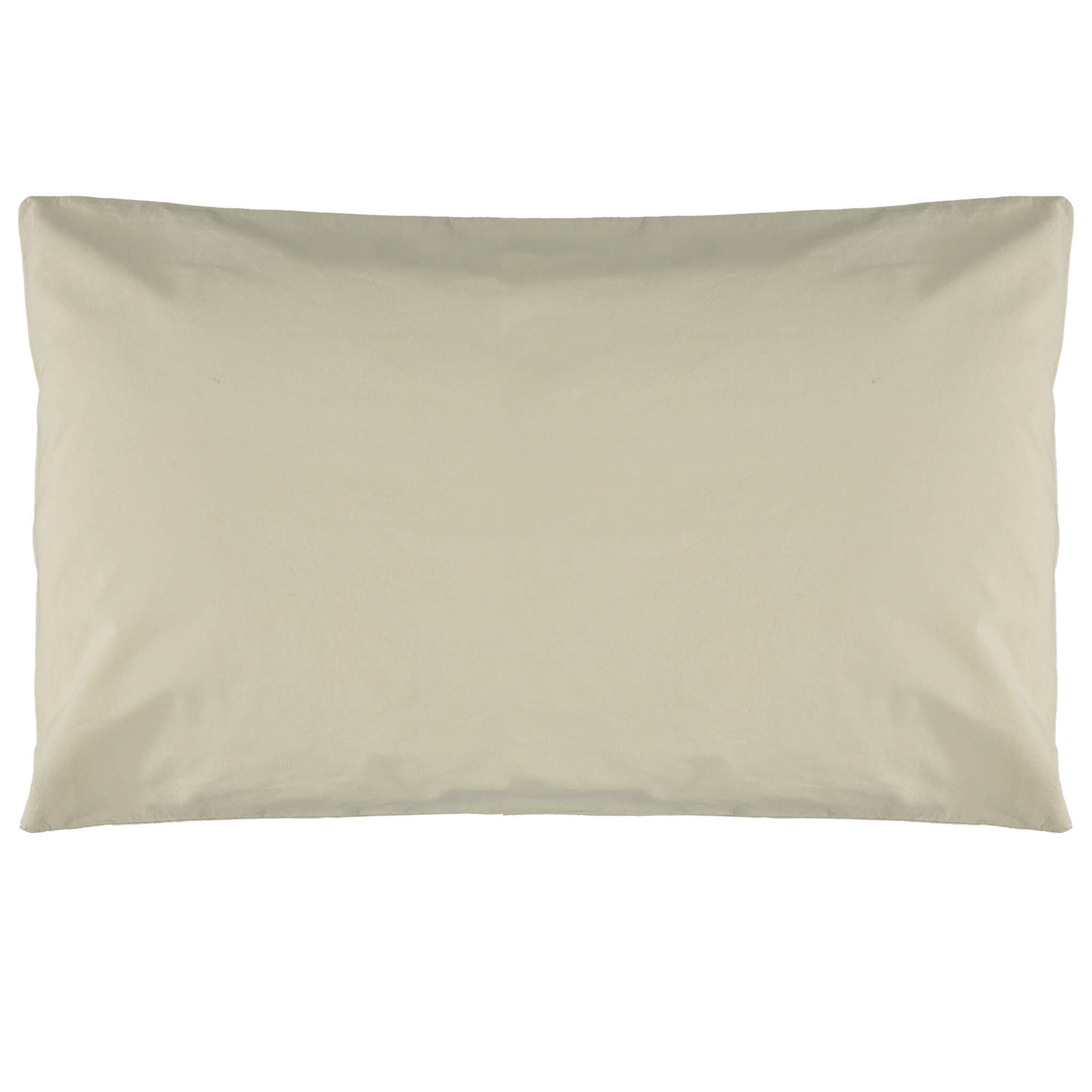 Organic Cotton Percale Celery Lace Edge Pillowcase