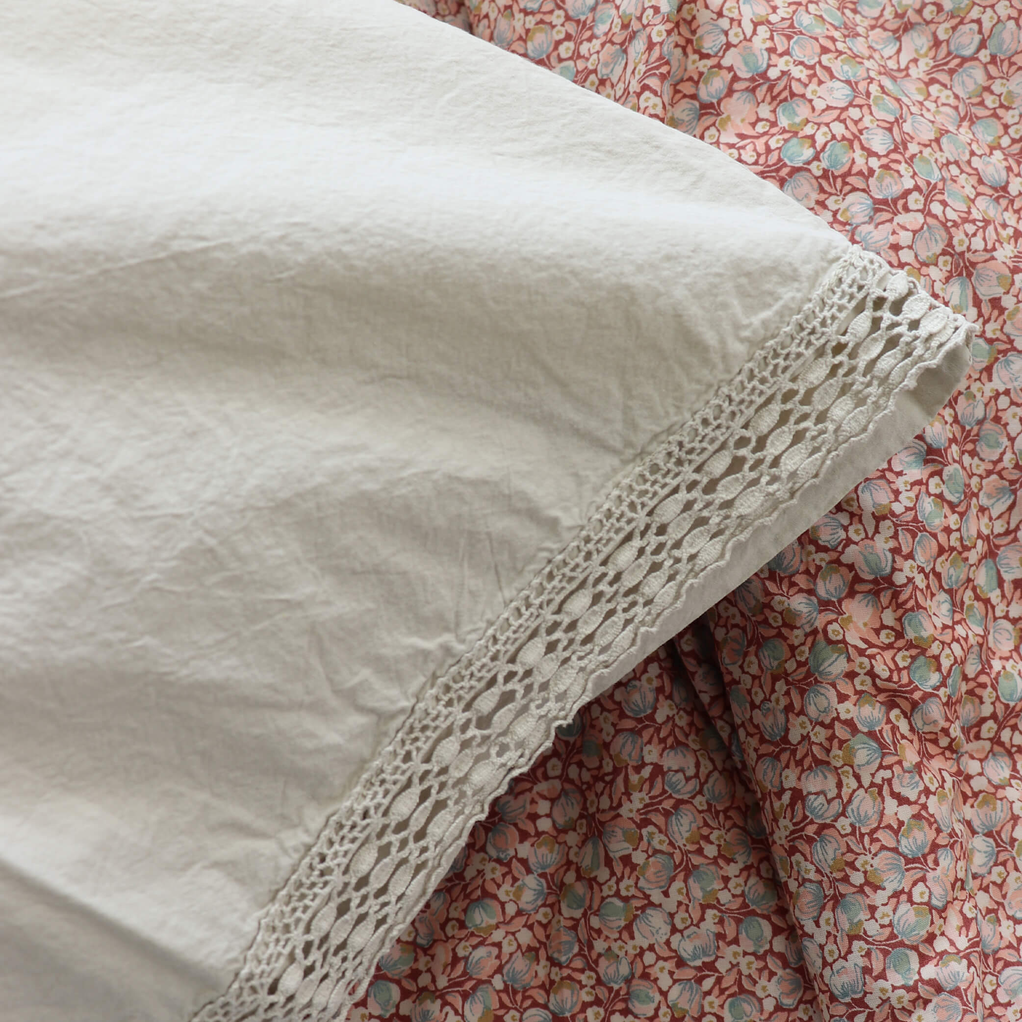 Organic Cotton Percale Celery Lace Edge Pillowcase